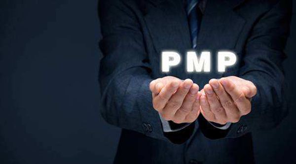 PMP<sup>®</sup>考试内容
