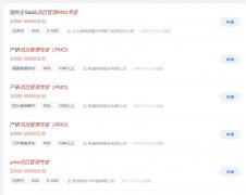 PMO为何如此高薪?看完就懂了！